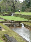 water-garden.JPG (116 KB)